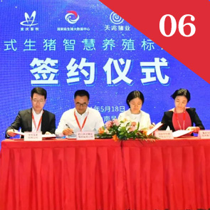 中国电子游艺网站下载安装
