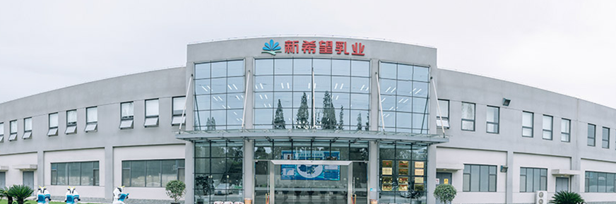 中国电子游艺网站下载安装
