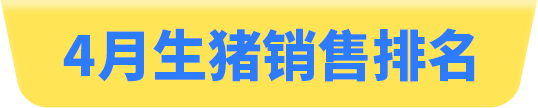 中国电子游艺网站下载安装
