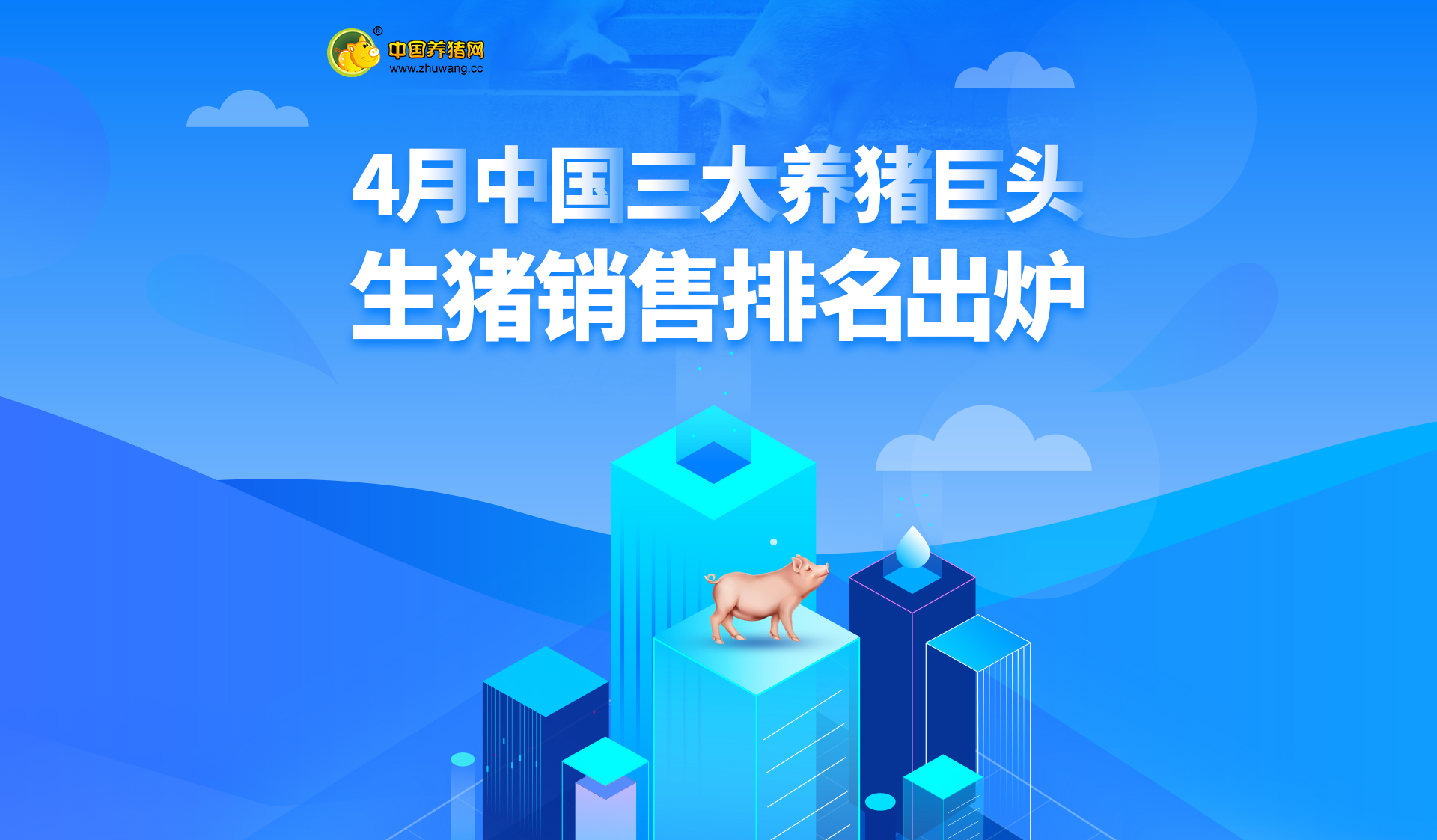 中国电子游艺网站下载安装
