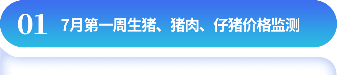 中国电子游艺网站下载安装
