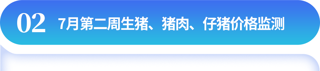 中国电子游艺网站下载安装
