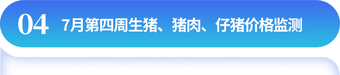 中国电子游艺网站下载安装
