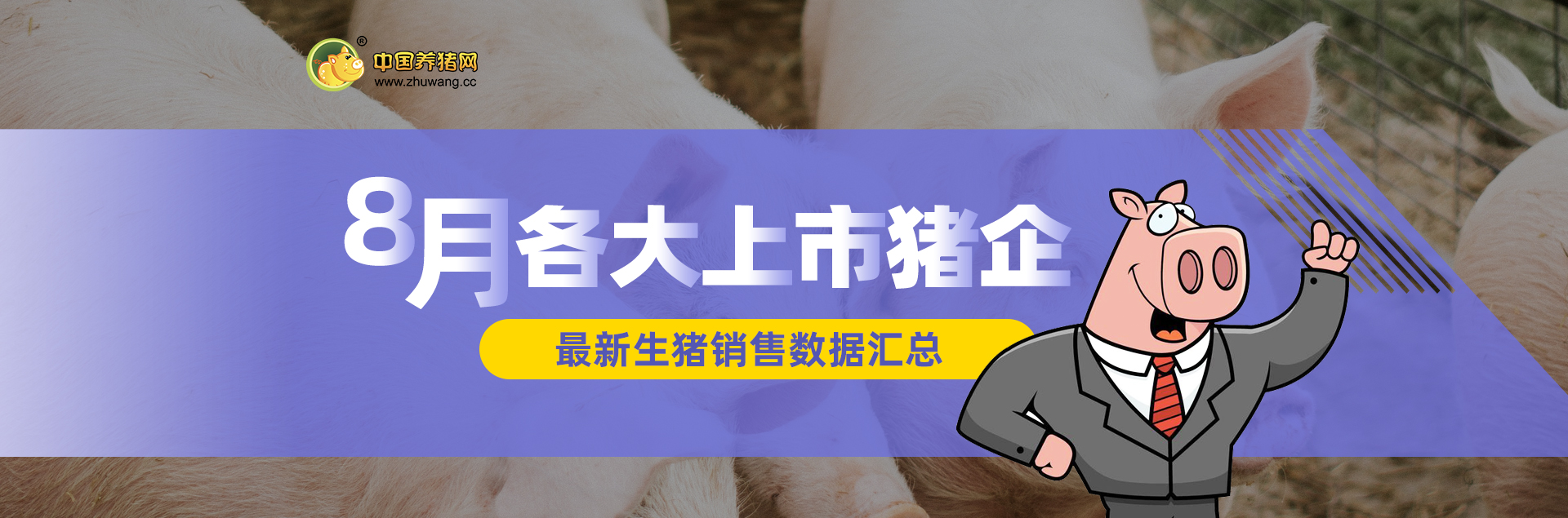 中国电子游艺网站下载安装
