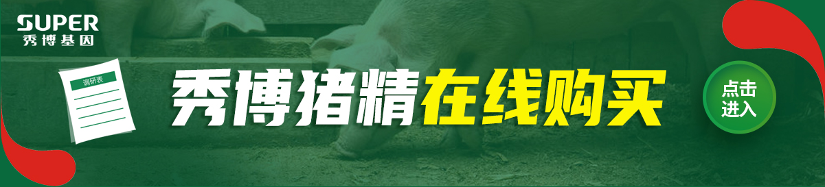 中国电子游艺网站下载安装
