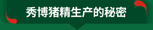 秀博猪精生产的秘密