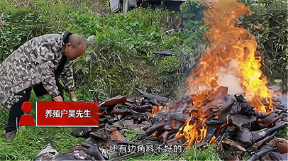 中国电子游艺网站下载安装