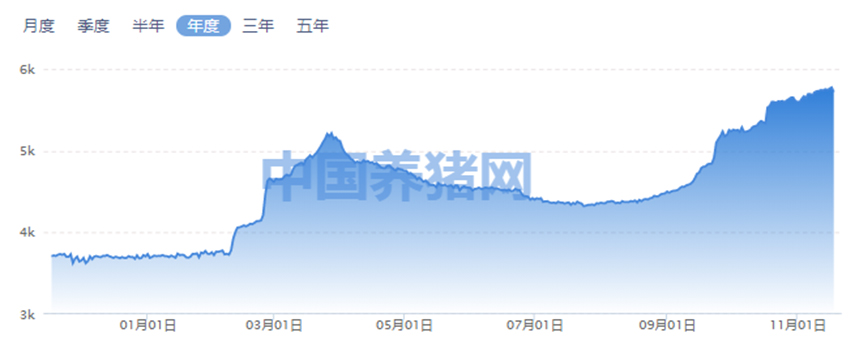 中国电子游艺网站下载安装