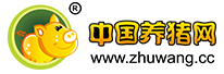 中国电子游艺网站下载安装
