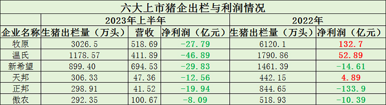 中国电子游艺网站下载安装
