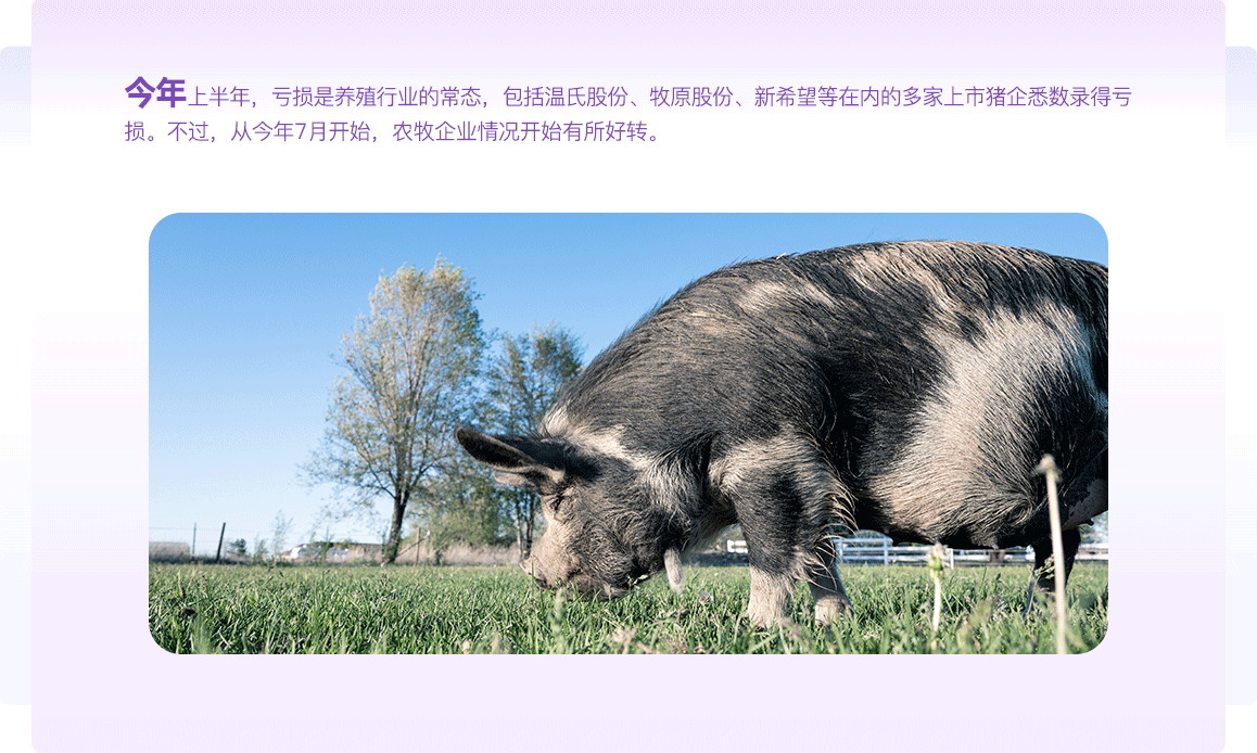 中国电子游艺网站下载安装
