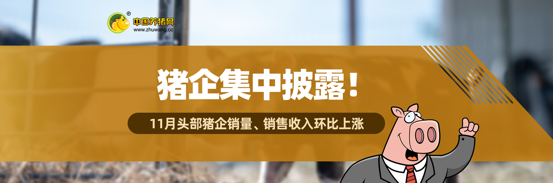 中国电子游艺网站下载安装
