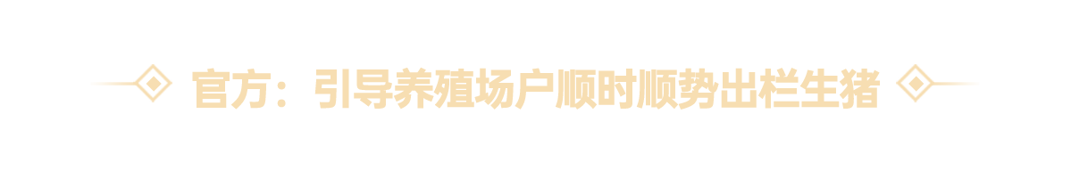 中国电子游艺网站下载安装
