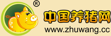 中国电子游艺网站下载安装
