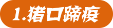 猪口蹄疫