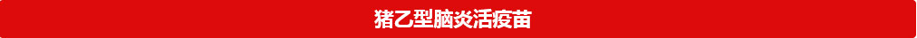 猪乙型脑炎活疫苗