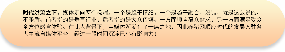 时代洪流之下
