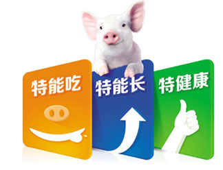 TTT乳猪教槽料