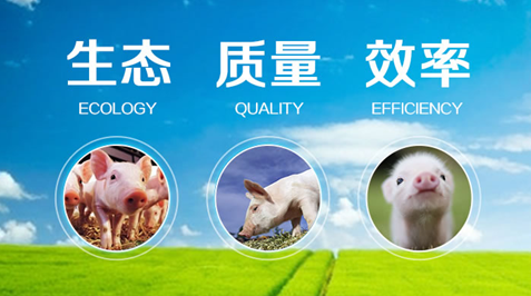 规模电子游艺网站
科技嘉年华