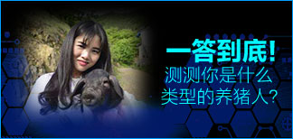 一答到底