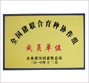 荣誉资质