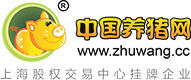 中国电子游艺网站下载安装
