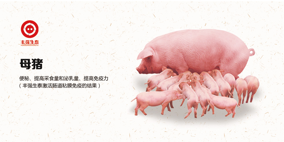 对于肠道问题的治疗，丰强生泰是最好的选择
