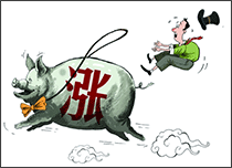 8月猪价止跌反弹 但重回11、12元时代概率不大