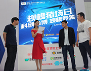 图十七