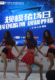 图六
