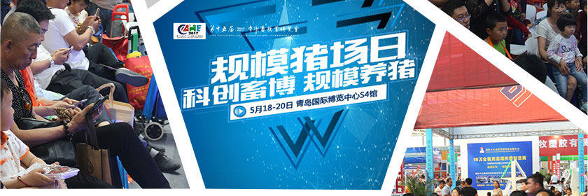 wall2