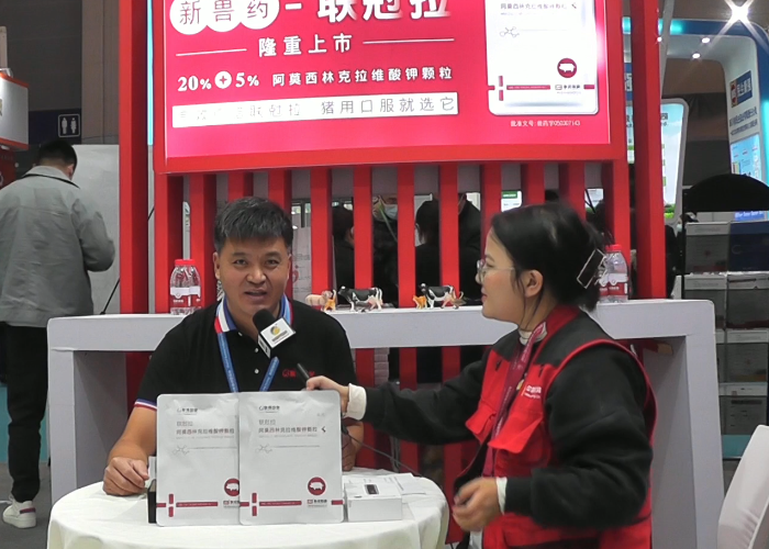 中国电子游艺网站下载安装
