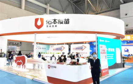 中国电子游艺网站下载安装

