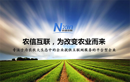 中国电子游艺网站下载安装
