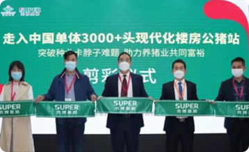 中国电子游艺网站下载安装
