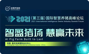 中国电子游艺网站下载安装
