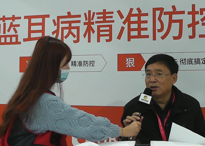 中国电子游艺网站下载安装

