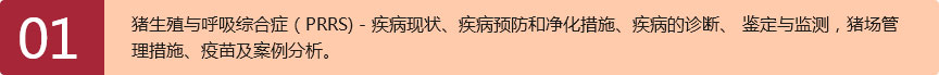 会议内容