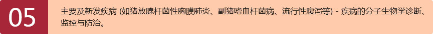 会议内容