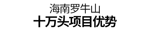 十万头现代化种电子游艺网站
