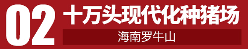 十万头现代化种电子游艺网站
