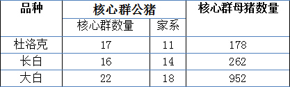生产性能优越