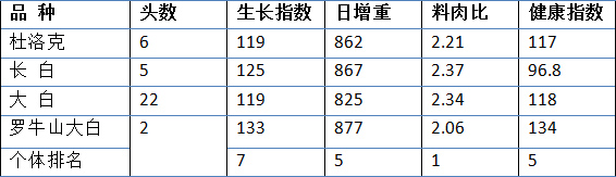 进行选育