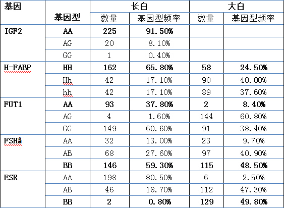 优势基因的分布频率