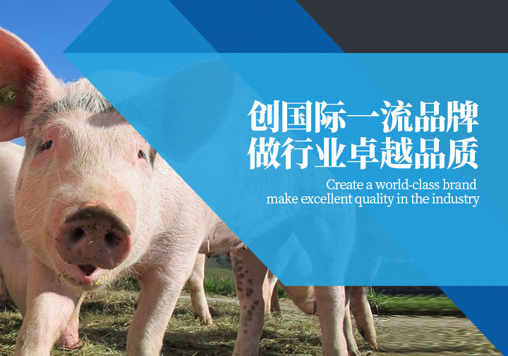 宁波第二激素厂