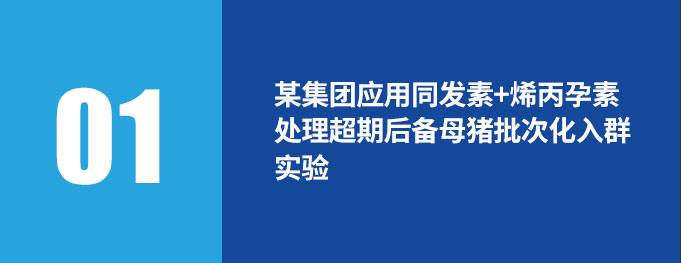 案例分享