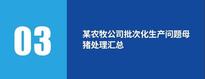 案例分享