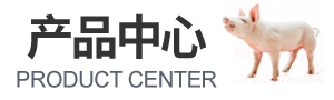 产品中心