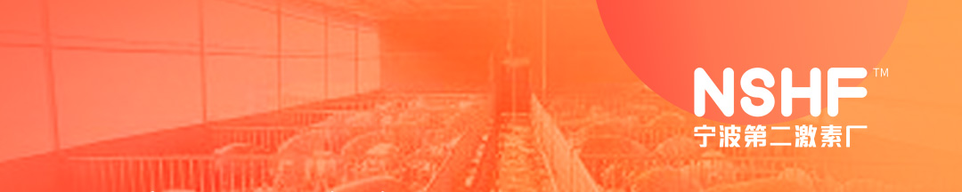 中国电子游艺网站下载安装
