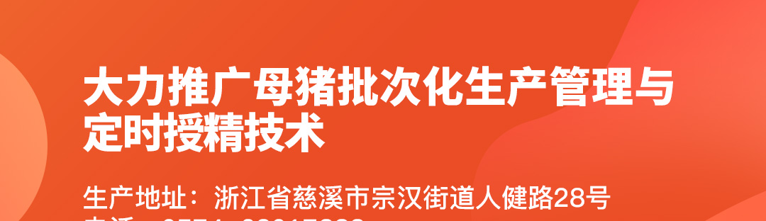 中国电子游艺网站下载安装
